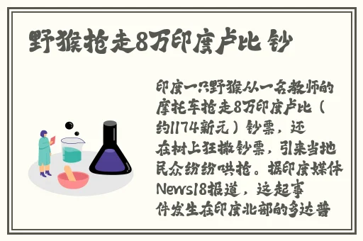 一个人的视频全免费在线观看www